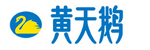 黄天鹅