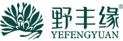 野丰缘